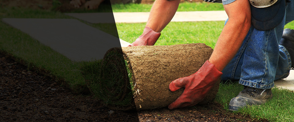 Hot Springs Village Landscapers